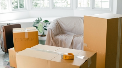 Immigration Benefits Denial