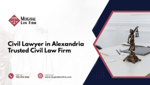 Civil Lawyer in Alexandria
